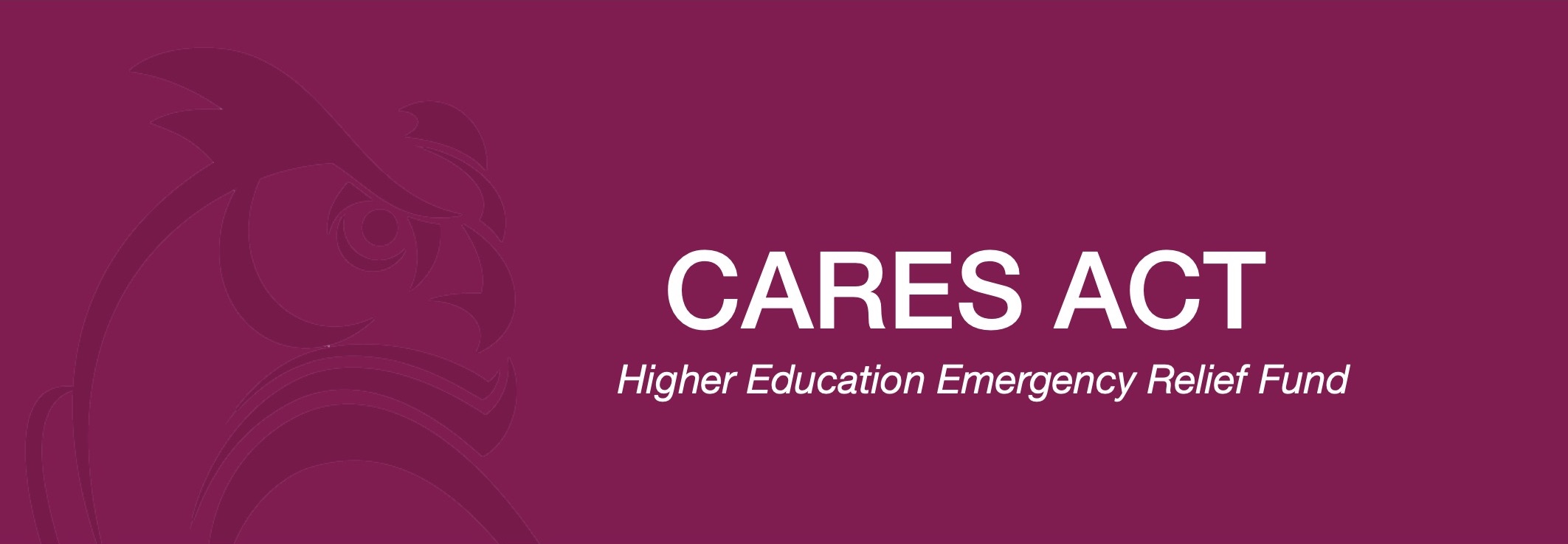 Banner Cares