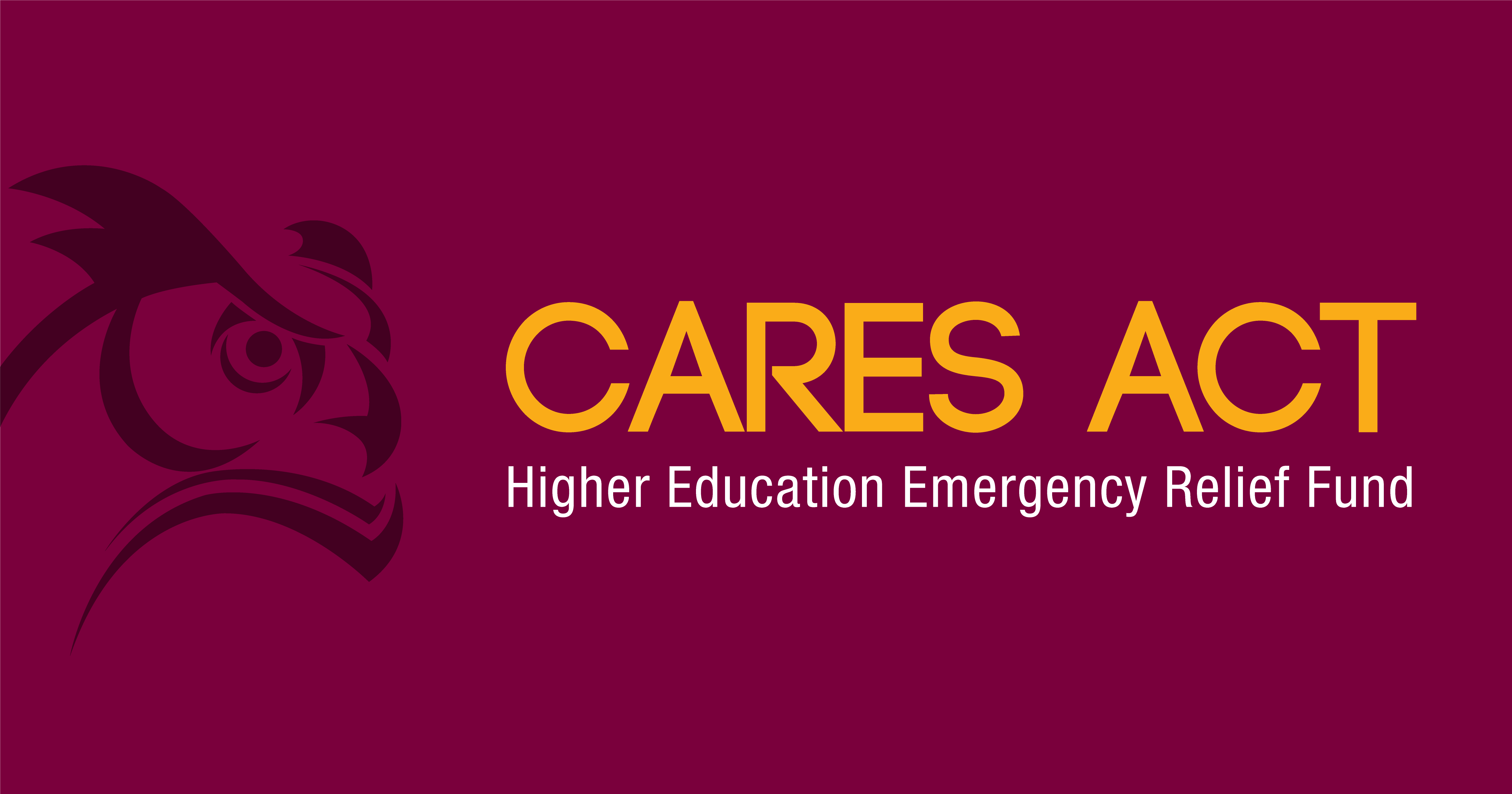Cares Act Blog Banner-07