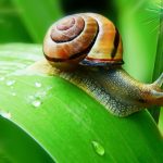 biologia prog biologia prog