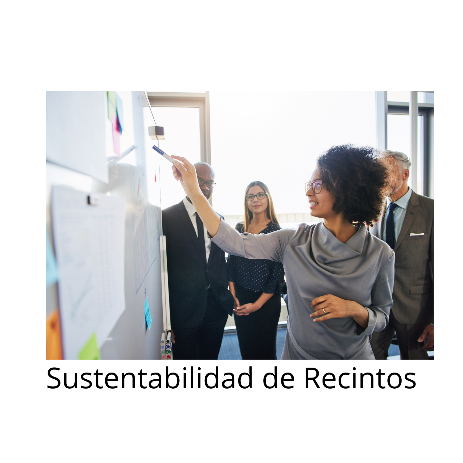 Sustentabilidad Recintos