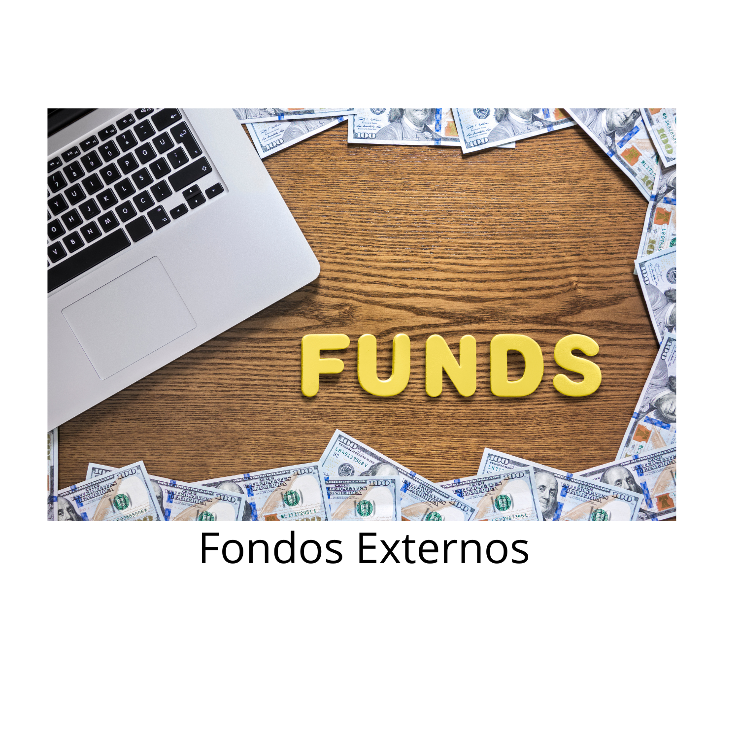 Fondos Externos