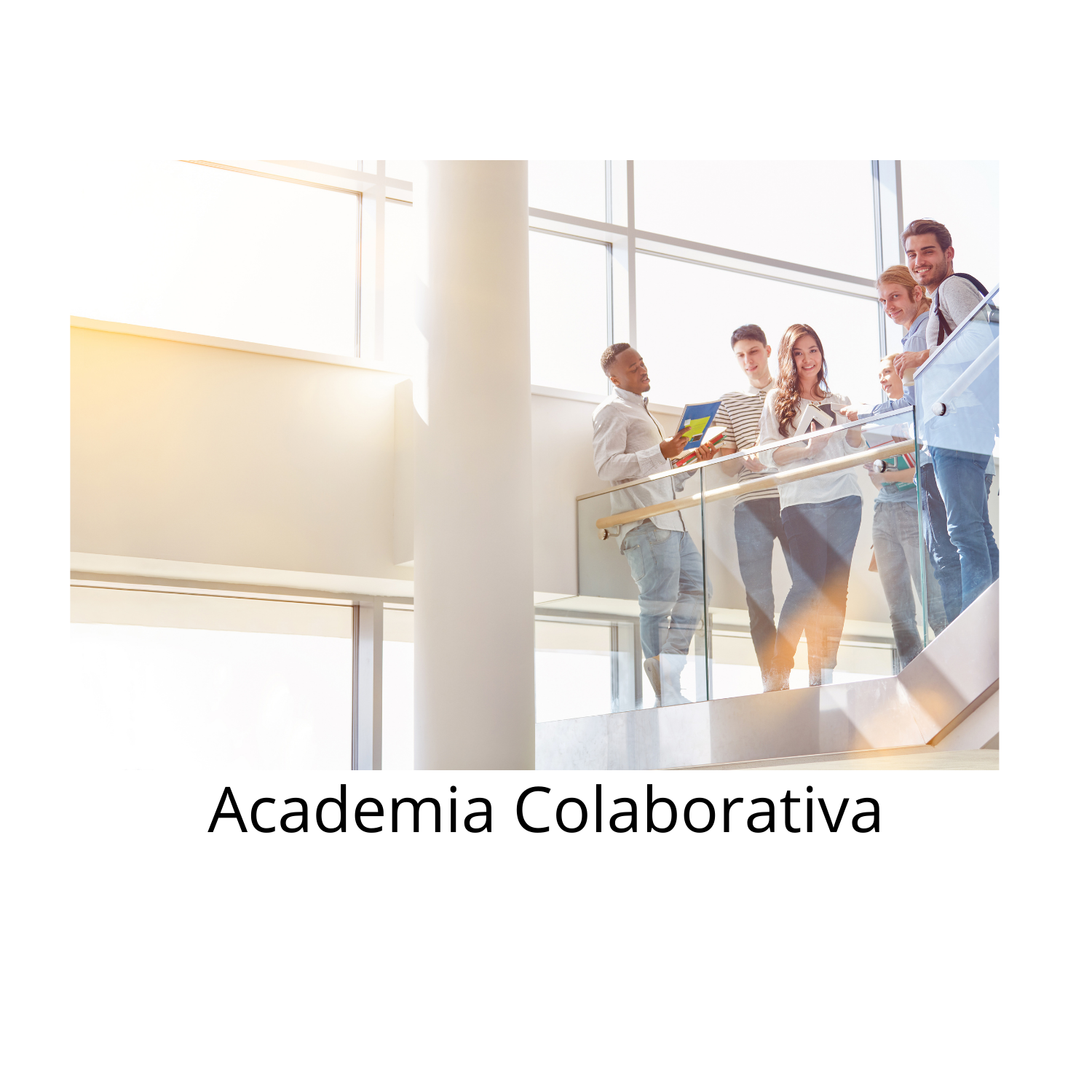 Academia Colaborativa