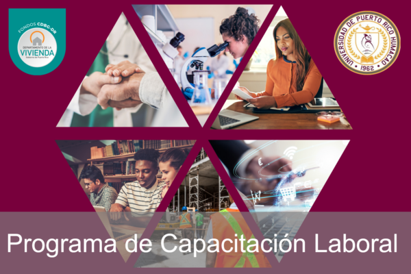 Decep-Programa de Capacitacion laboral